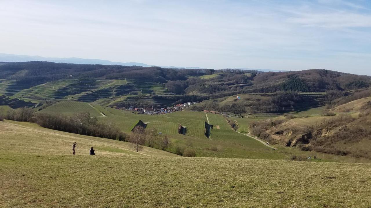 Ferienwohnung Sonnenschein Rheinhausen Zewnętrze zdjęcie