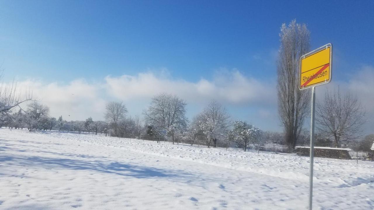 Ferienwohnung Sonnenschein Rheinhausen Zewnętrze zdjęcie