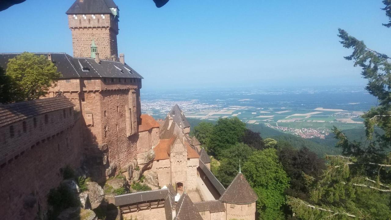Ferienwohnung Sonnenschein Rheinhausen Zewnętrze zdjęcie
