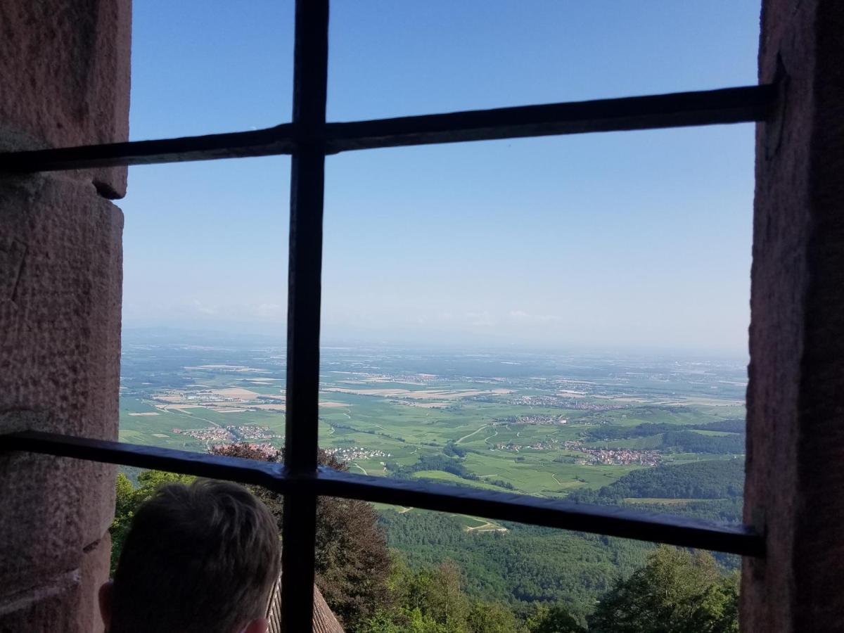 Ferienwohnung Sonnenschein Rheinhausen Zewnętrze zdjęcie