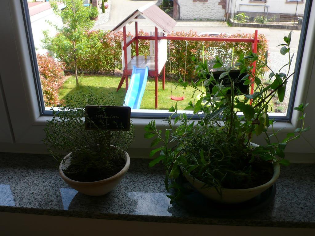 Ferienwohnung Sonnenschein Rheinhausen Zewnętrze zdjęcie